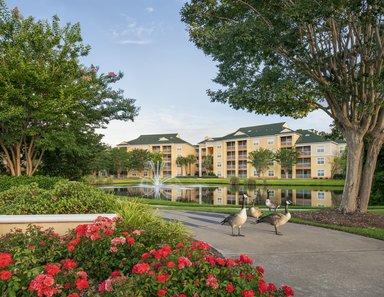 Hotel SHERATON BROADWAY PLANTATION RESORT VILLAS