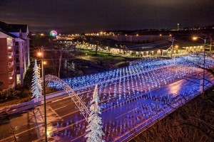 Hotel BLACK FOX LODGE PIGEON FORGE TPSTRY