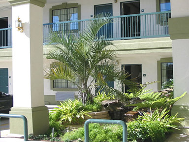 Hotel SCOTTISH INNS AND SUITES NRG PARK/MEDICAL CENTER HOUSTON TX