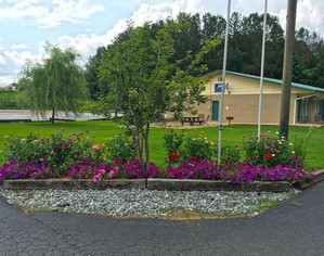 Hotel AMERICAS BEST VALUE INN HEFLIN