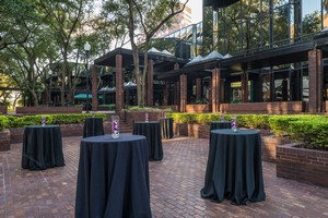 Hotel HILTON TAMPA DOWNTOWN
