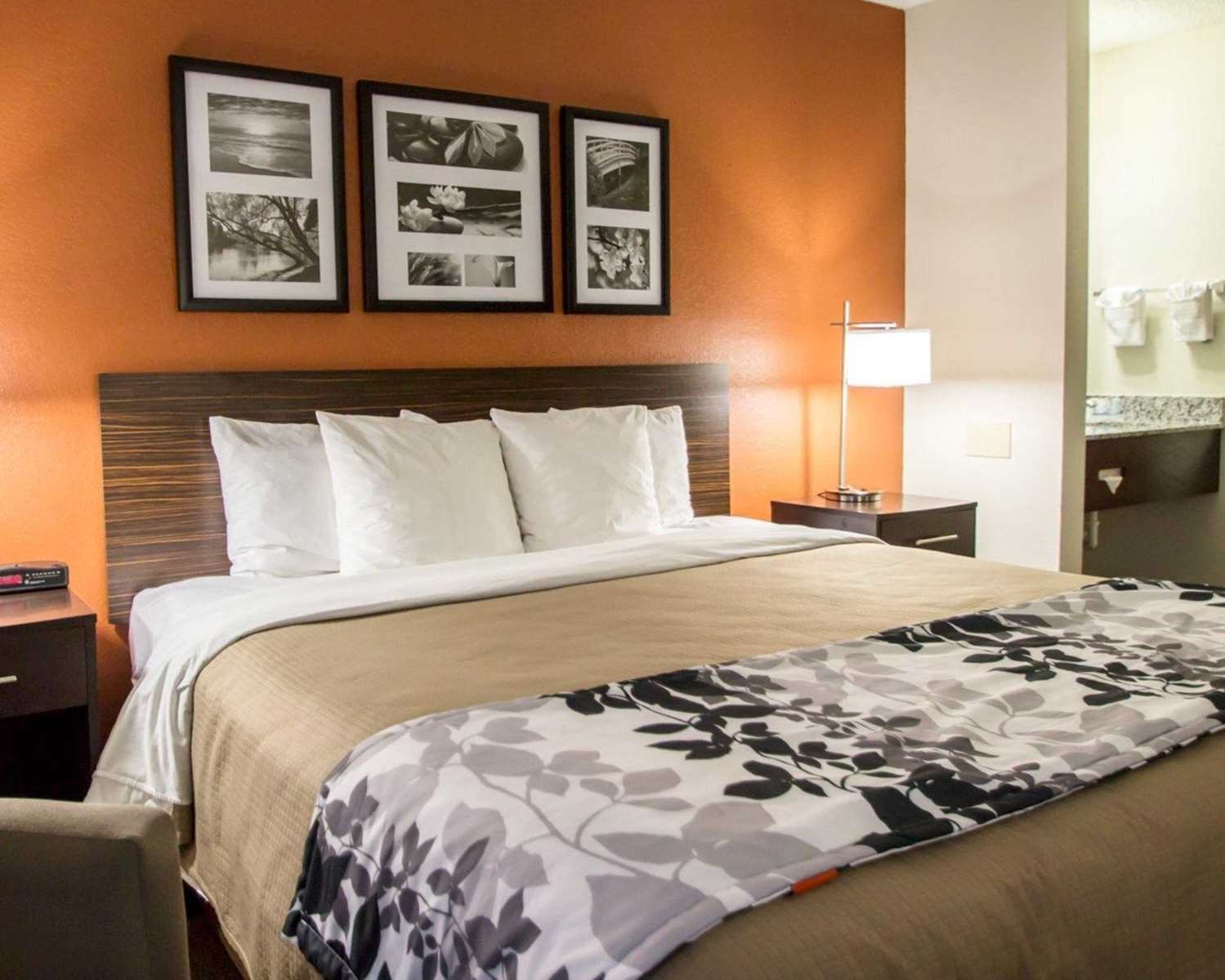 Hotel SLEEP INN ORMOND BEACH