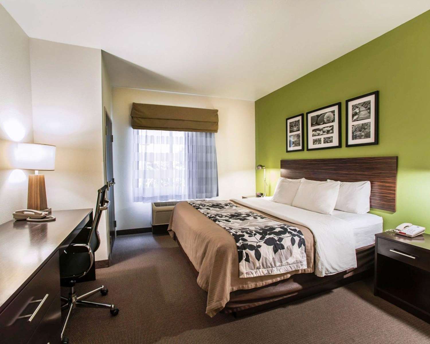 Hotel SLEEP INN AND SUITES CAVE CITY