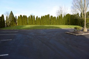 Hotel BEST WESTERN NEWBERG INN