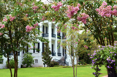 Hotel NOTTOWAY PLANTATION AND RESORT