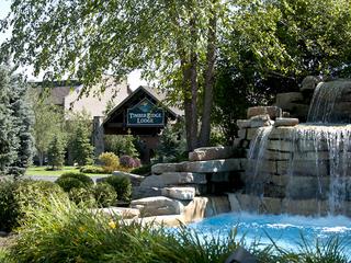 Hotel TIMBER RIDGE LODGE & WATERPARK