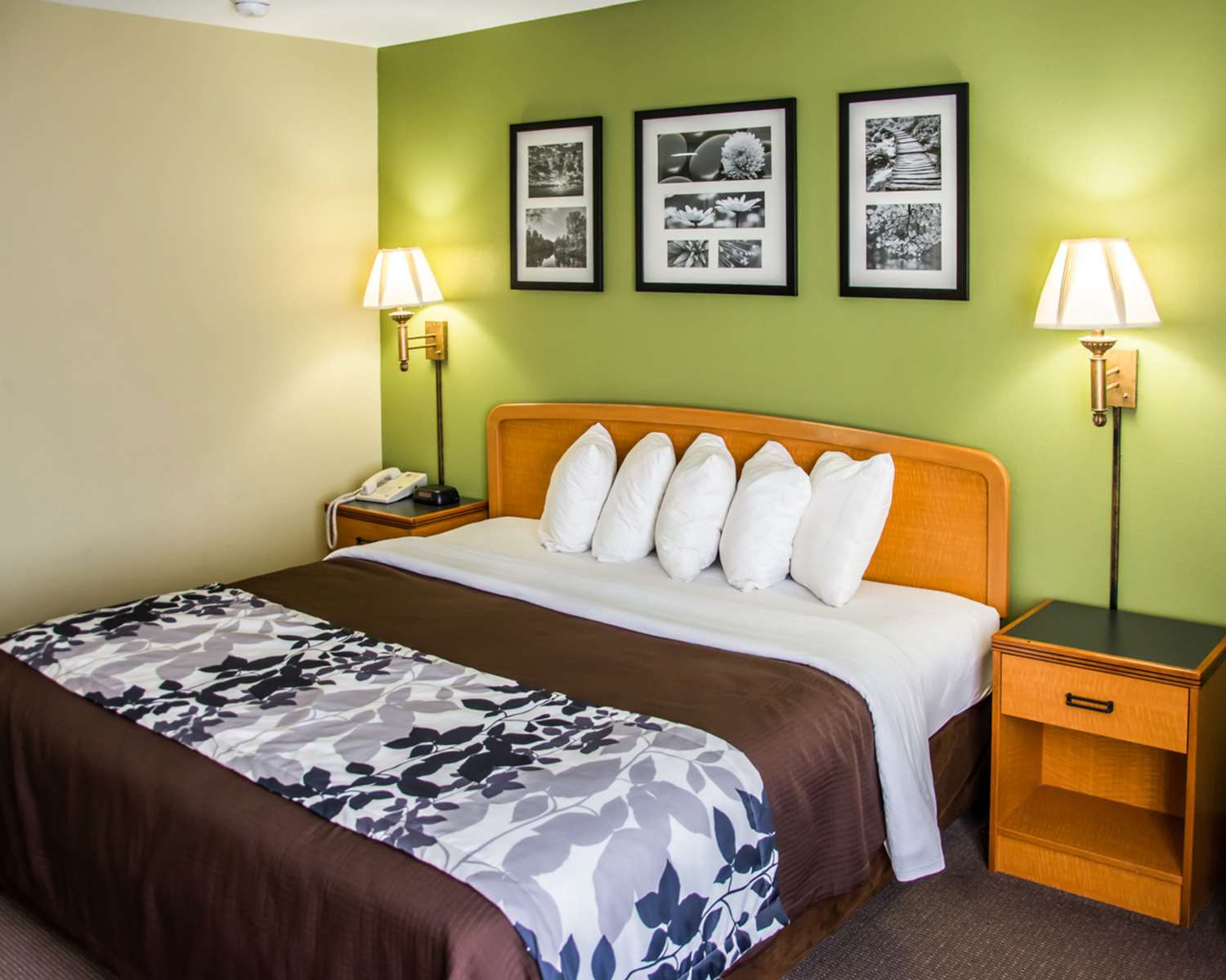 Hotel SLEEP INN & SUITES