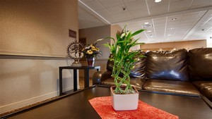 Hotel BEST WESTERN SMYRNA INN