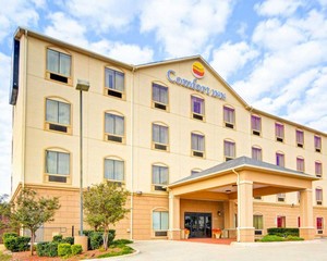 Hotel COMFORT INN NEAR UNT