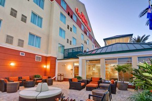 Hotel HILTON GARDEN INN TAMPA NORTHWEST-OLDSMAR