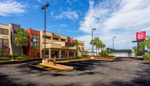 Hotel RED ROOF INN CLEARWATER AIRPORT