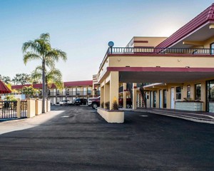 Hotel RODEWAY INN CLEARWATER