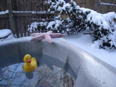 Hotel ANN ARBOR BED AND BREAKFAST