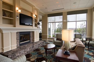 Hotel HILTON GARDEN INN DETROIT-NOVI