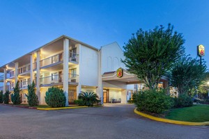 Hotel SUPER 8 SPRING