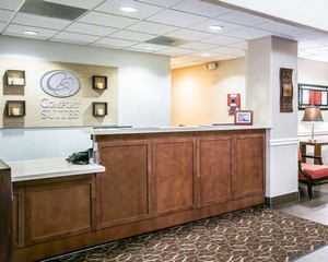 Hotel COMFORT SUITES WILLOWBROOK