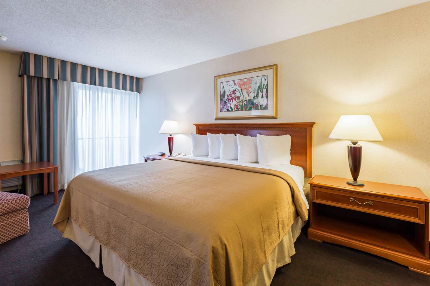 Hotel QUALITY INN AND CONFERENCE CENTER