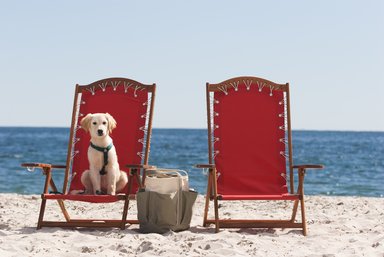 Hotel INN BY THE SEA