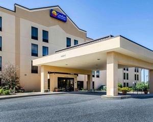 Hotel COMFORT INN & SUITES YORK