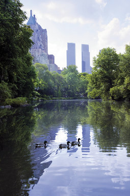Hotel MANDARIN ORIENTAL, NEW YORK