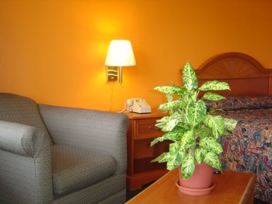 Hotel FAIRVIEW INN