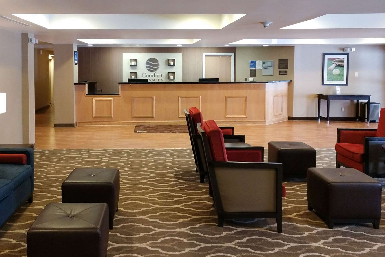 Hotel COMFORT INN & SUITES MILFORD / COOPERSTOWN