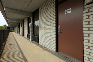 Hotel AMERICAS BEST VALUE INN NORTH CAPITAL