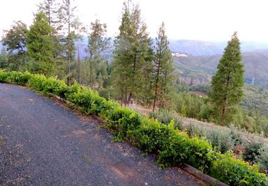 Hotel LILLSKGO LODGE