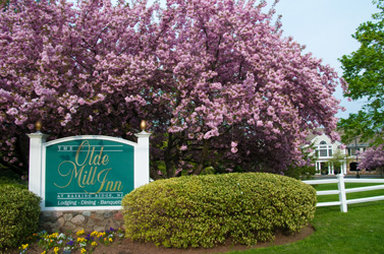 Hotel OLDE MILL INN