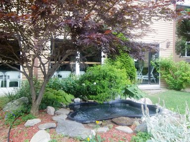 Hotel ANCHORAGE INN BURLINGTON