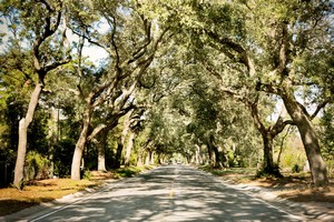 Hotel HAMPTON INN PENSACOLA-AIRPORT