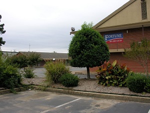 Hotel FORTUNE INN AND SUITES NEWPORT