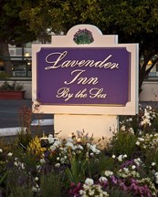 Hotel LAVENDER INN BY THE SEA