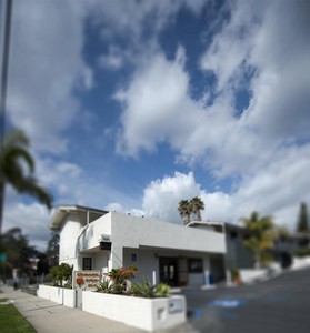 Hotel ORANGE TREE INN