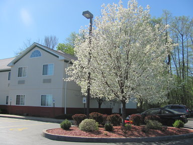 Hotel DOLLINGERS INN AND SUITES