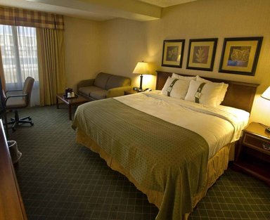 Hotel HOLIDAY INN BUFFALO - AMHERST