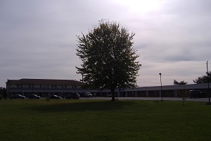 Hotel M STAR HOTEL WAUSEON