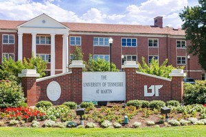 Hotel DAYS INN MARTIN