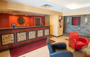 Hotel RED ROOF INN SPRINGFIELD