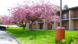 Hotel MAGNUSON HOTEL FRAMINGHAM