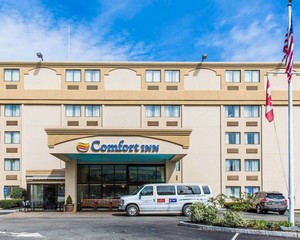 Hotel COMFORT INN BOSTON NEAR UNIVERSITY