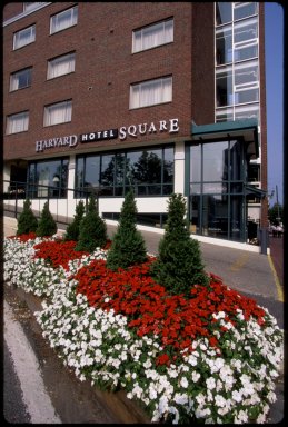 Hotel THE HARVARD SQUARE HOTEL