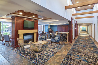 Hotel RESIDENCE INN MINNEAPOLIS PLYMOUTH