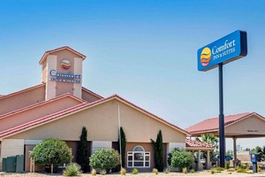 Hotel COMFORT INN & SUITES