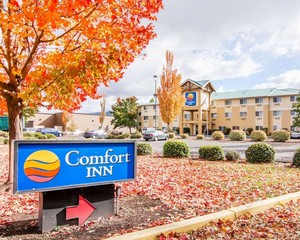 Hotel COMFORT INN SOUTH