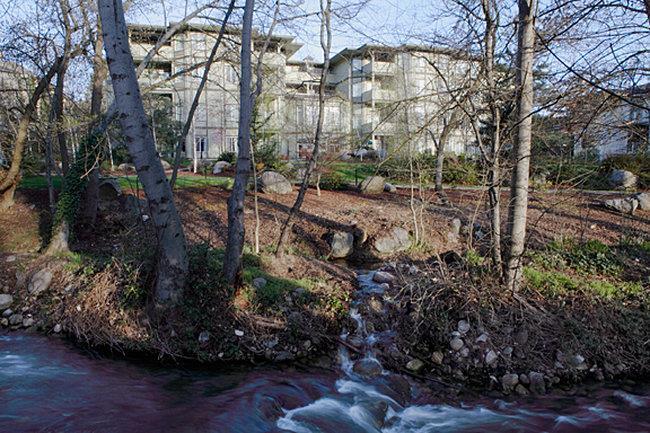 Hotel PLAZA INN AND SUITES AT ASHLAND CREEK