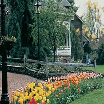 Hotel GOLDEN PLOUGH INN AT PEDDLERS VILLA
