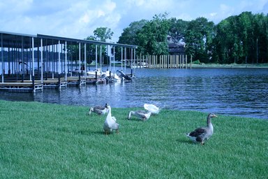 Hotel HOLIDAY INN CLUB VAC PINEY SHORES R