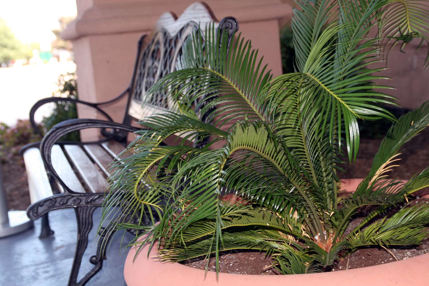 Hotel HAMPTON INN NEWPORT NEWS-YORKTOWN VA
