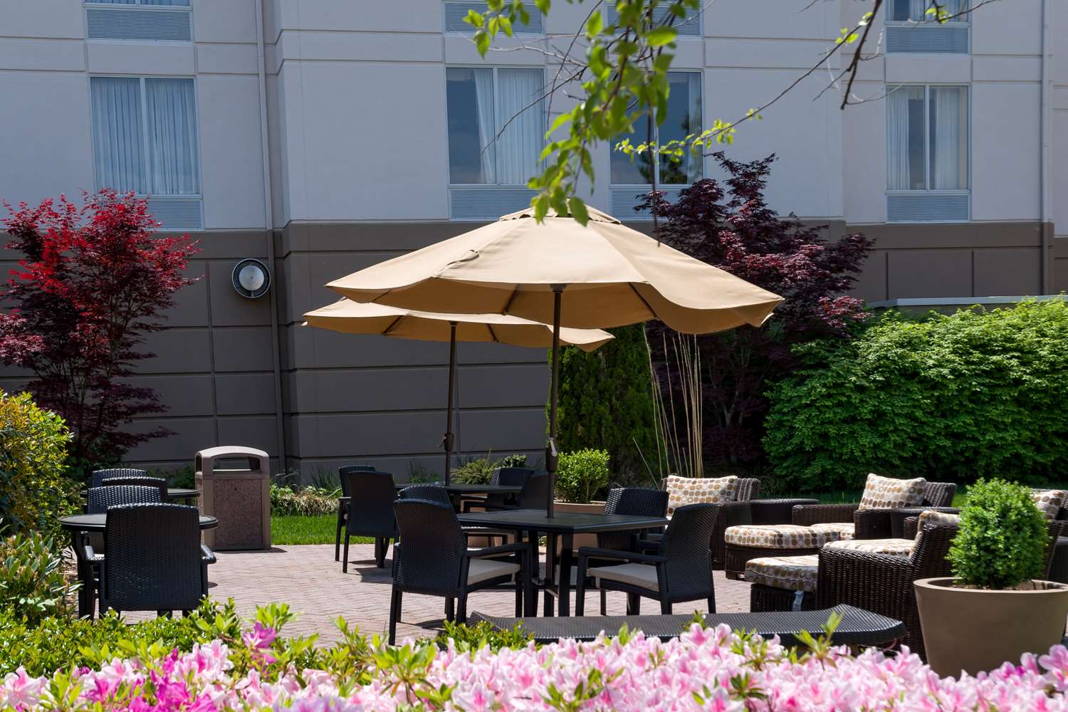 Hotel HILTON GARDEN INN NEWPORT NEWS